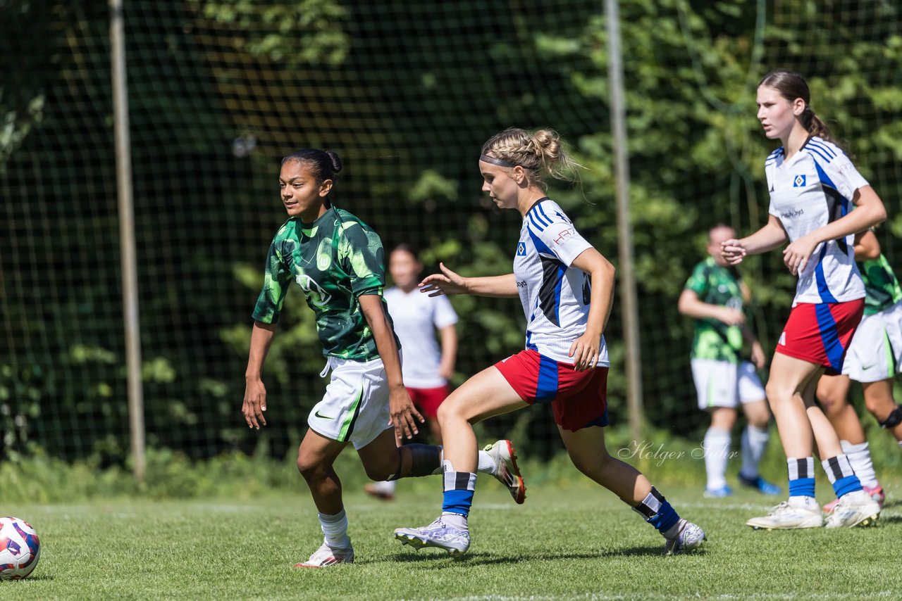 Bild 398 - wBJ Hamburger SV - VfL Wolfsburg : Ergebnis: 5:1